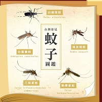 蚊子圖片(001).jpg