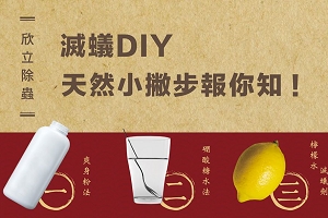 滅蟻DIY(001).jpg